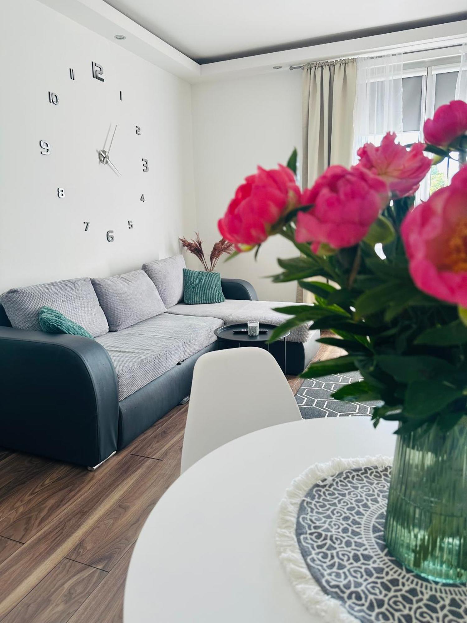 City Apartment Czestochowa Centrum 2-Bedroom Zewnętrze zdjęcie